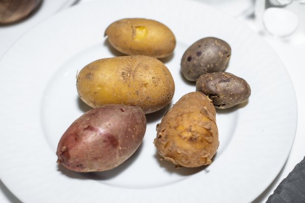«Gschwellti» in den Sorten Blaue St. Galler, Heiderot, Erika, Charlotte und La Ratte