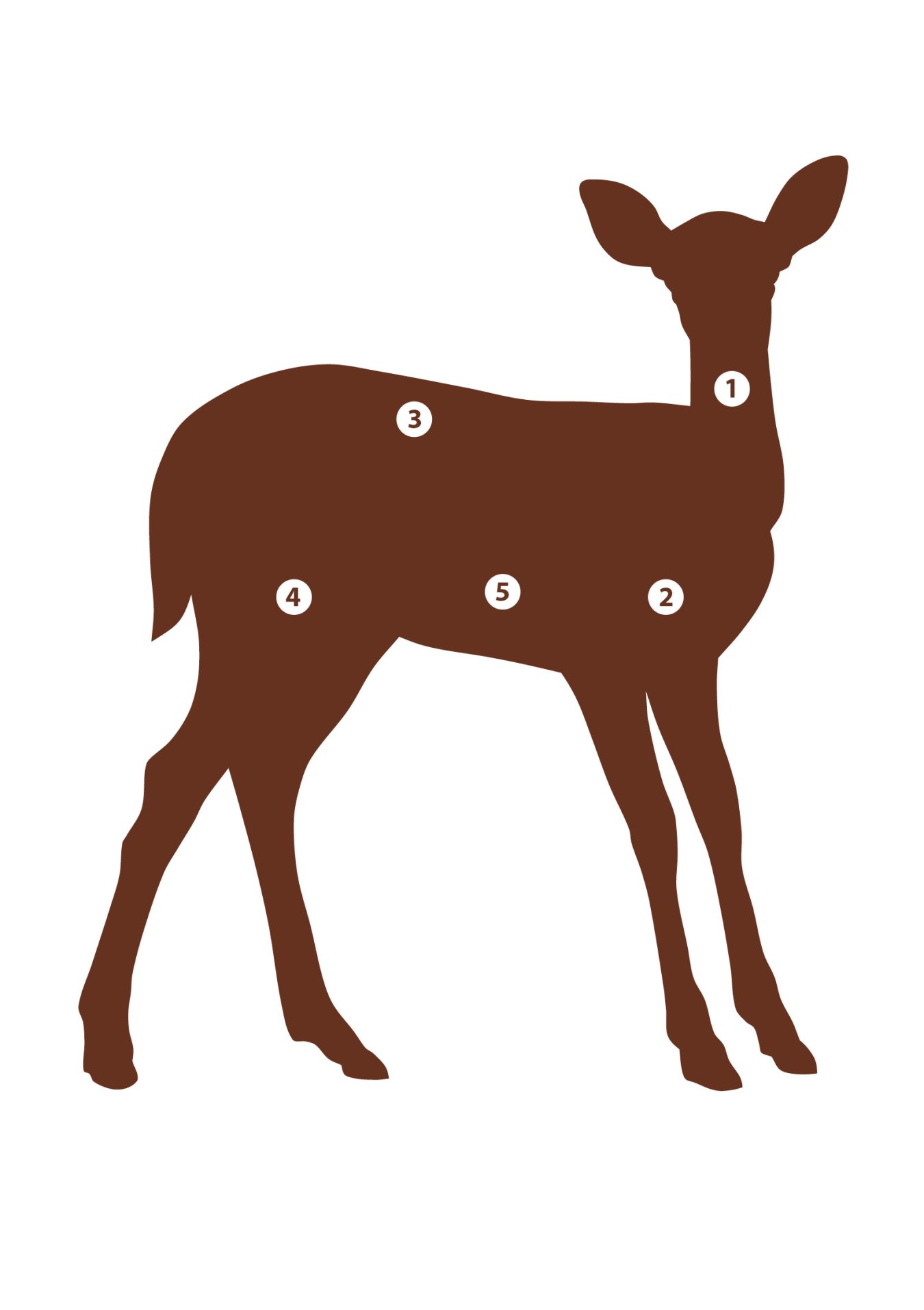 Pistor Blog Reh Einzelstücke