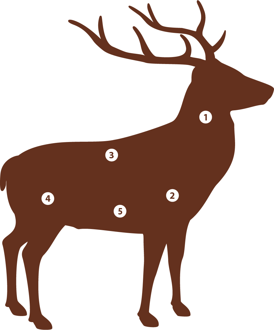 Hirsch Einzelstuecke