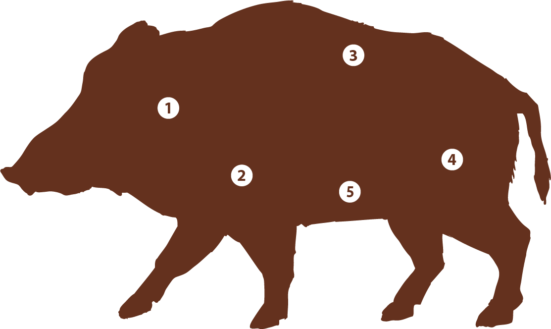 Wildschwein Einzelstuecke